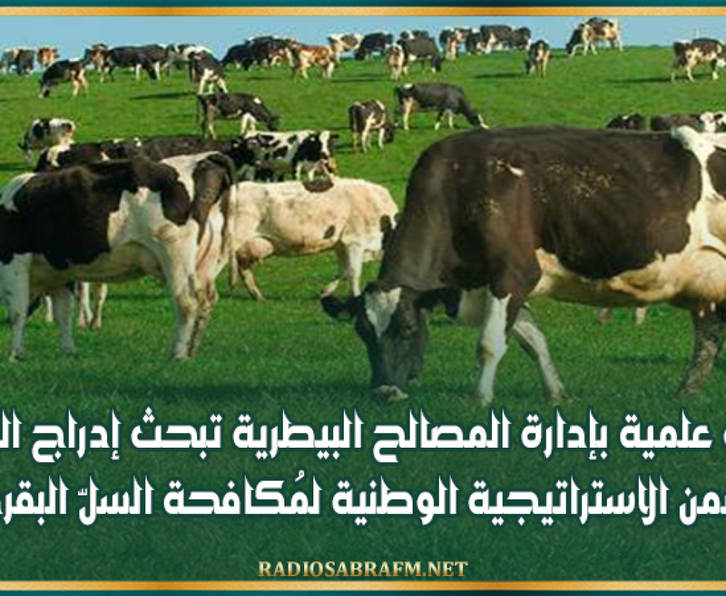 لجنة علمية بإدارة المصالح البيطرية تبحث إدراج التلقيح ضمن الاستراتيجية الوطنية لمُكافحة السلّ البقري