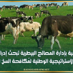 لجنة علمية بإدارة المصالح البيطرية تبحث إدراج التلقيح ضمن الاستراتيجية الوطنية لمُكافحة السلّ البقري