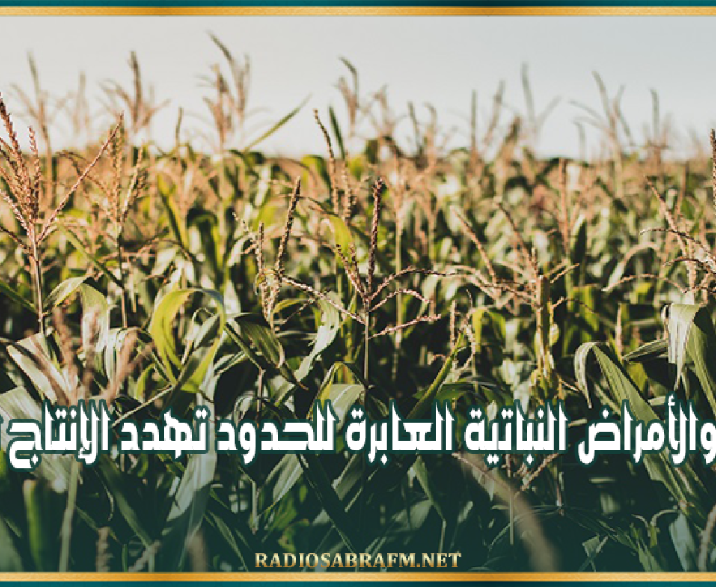 وزارة الفلاحة: الآفات والأمراض النباتية العابرة للحدود تهدد الإنتاج الزراعي