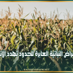 وزارة الفلاحة: الآفات والأمراض النباتية العابرة للحدود تهدد الإنتاج الزراعي