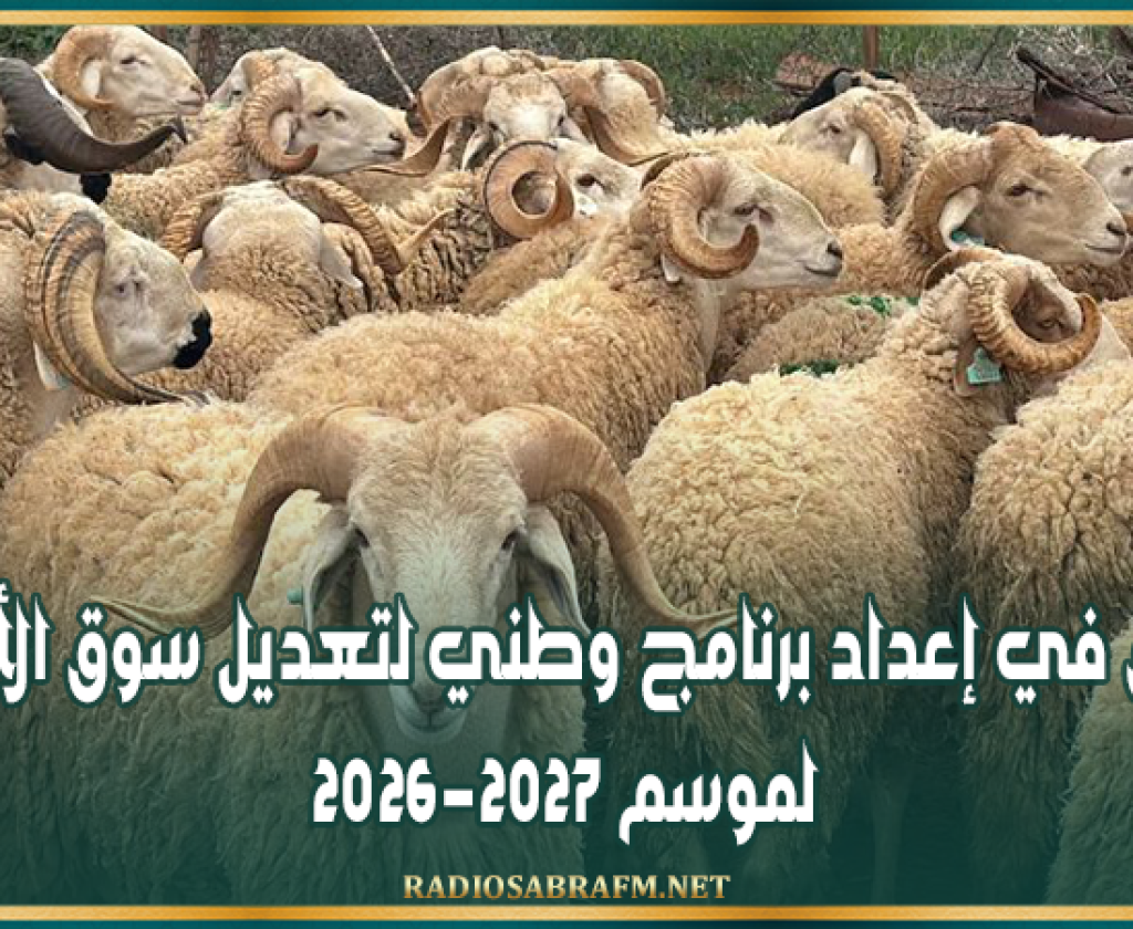 الانطلاق في إعداد برنامج وطني لتعديل سوق الأضاحي لموسم 2026-2027