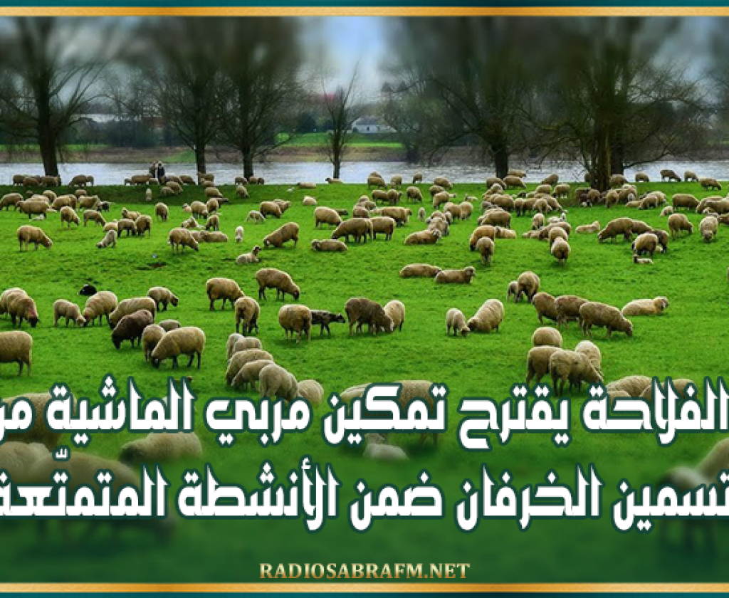 اتّحاد الفلاحة يقترح تمكين مربي الماشية من منحة وإدراج تسمين الخرفان ضمن الأنشطة المتمتّعة بقروض