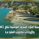 نسبة امتلاء السدود التونسية تبلغ 65% والإيرادات تجاوزت المليار م3
