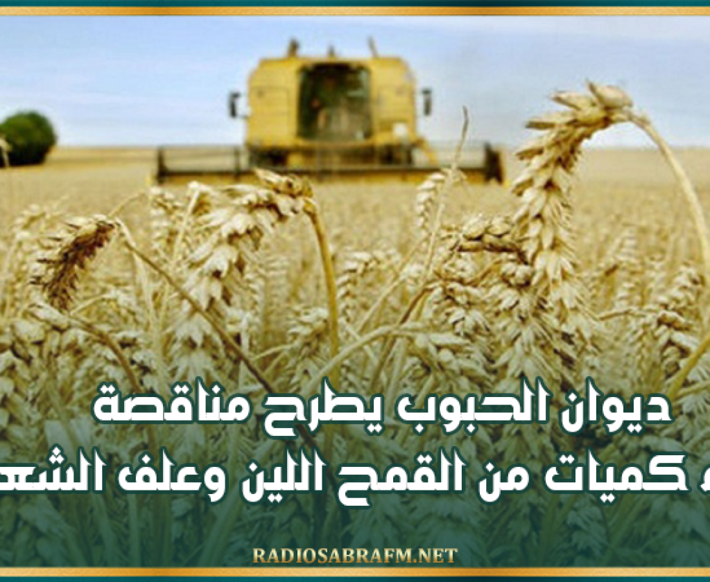 ديوان الحبوب يطرح مناقصة لشراء كميات من القمح اللين وعلف الشعير