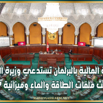 لجنة المالية بالبرلمان تستدعي وزيرة المالية لبحث ملفات الطاقة والماء وميزانية 2027
