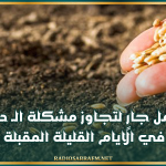 مندوب الفلاحة بالقيروان: العمل جارٍ لتجاوز مشكلة الـ (د.أ.ب) في الايام القليلة المقبلة