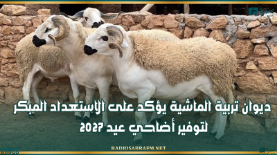 ديوان تربية الماشية يؤكد على الاستعداد المبكر لتوفير أضاحي عيد 2027