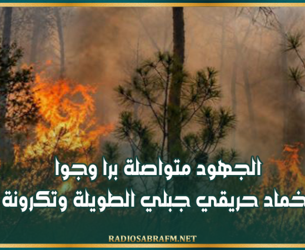 الكاف: الجهود متواصلة برا وجوا لإخماد حريقي جبلي الطويلة وتكرونة