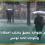 هذا الأسبوع: منخفض جوي عميق يجلب أمطارا غزيرة وثلوجا إلى تونس