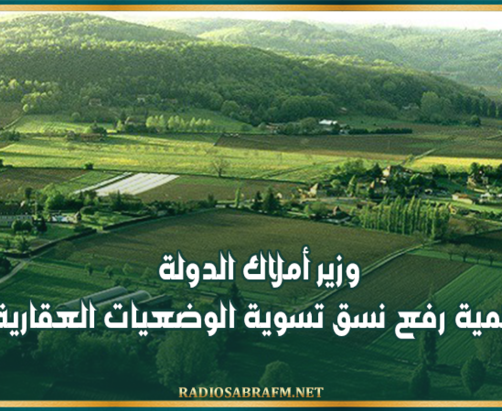 وزير أملاك الدولة: أهمية رفع نسق تسوية الوضعيات العقارية