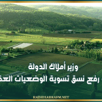 وزير أملاك الدولة: أهمية رفع نسق تسوية الوضعيات العقارية