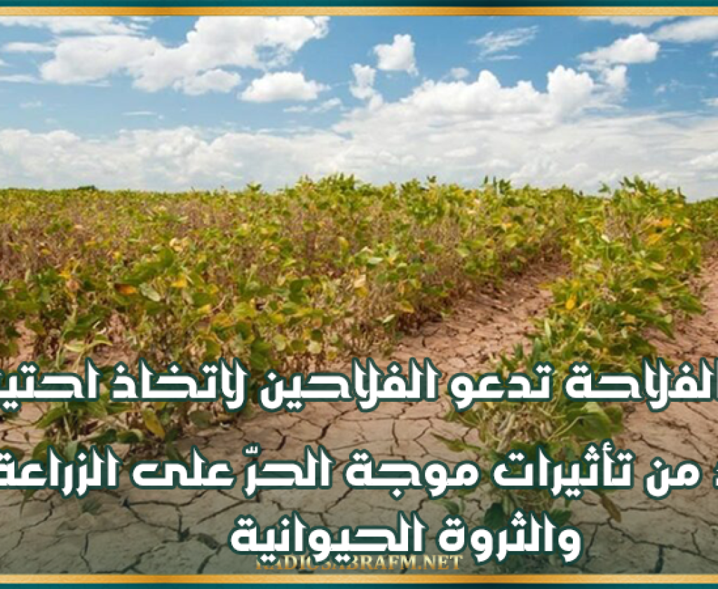 وزارة الفلاحة تدعو الفلاحين إلى اتخاذ احتياطات للحد من تأثيرات موجة الحرّ على الزراعة والثروة الحيوانية