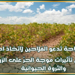 وزارة الفلاحة تدعو الفلاحين إلى اتخاذ احتياطات للحد من تأثيرات موجة الحرّ على الزراعة والثروة الحيوانية