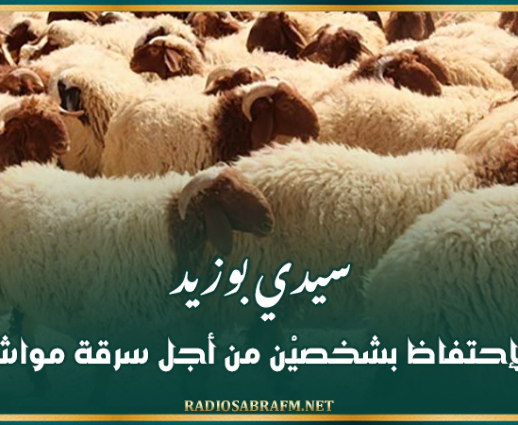 سيدي بوزيد: الإحتفاظ بشخصيْن من أجل سرقة مواشي