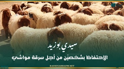 سيدي بوزيد: الإحتفاظ بشخصيْن من أجل سرقة مواشي