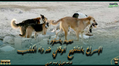 معهد باستور : الإسراع بالتلقيح الوقائي ضد داء الكلب وغسل مكان الإصابة يمكن من تفادي الوفاة عند الإنسان