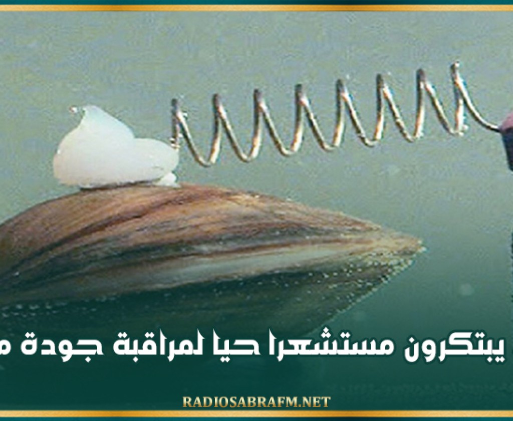العلماء يبتكرون مستشعرا حيا لمراقبة جودة ماء البحر
