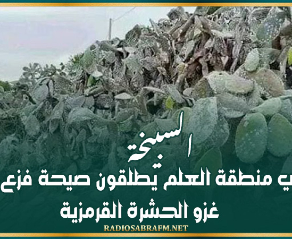 السبيخة: اهالي منطقة العلم يطلقون صيحة فزع بسبب غزو الحشرة القرمزية