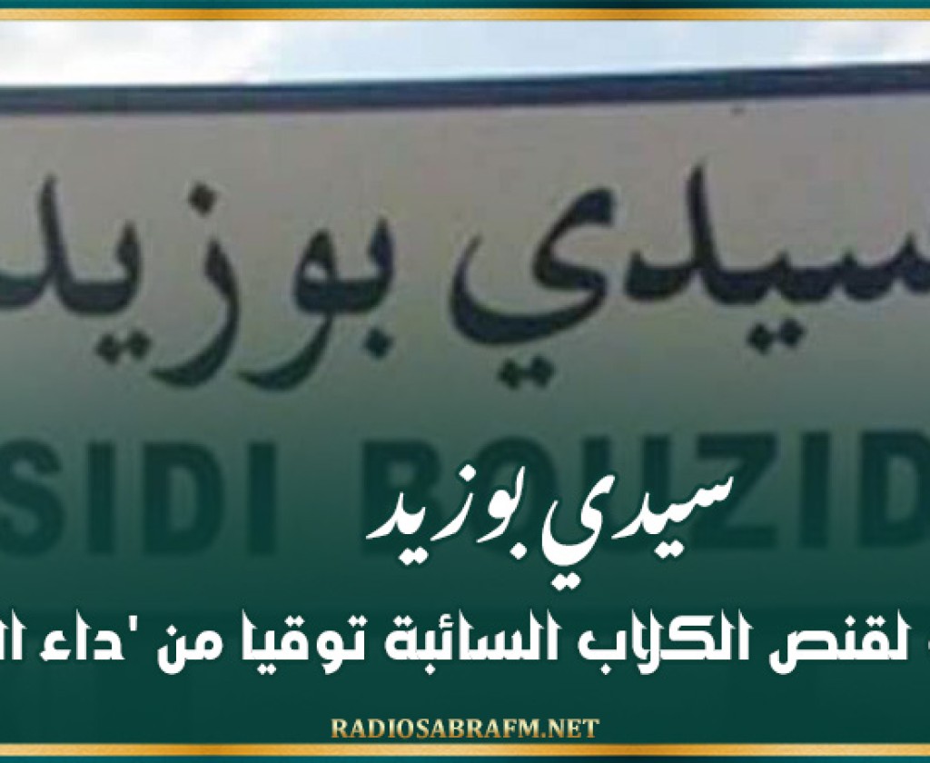 سيدي بوزيد: حملات لقنص الكلاب السائبة توقيا من 'داء الكلب'