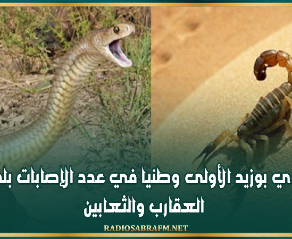 سيدي بوزيد الأولى وطنيا في عدد الإصابات بلدغات العقارب والثعابين