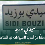 سيدي بوزيد: إتلاف قرابة 20 طنّا من أغذية الحيوانات غير الصالحة للاستهلاك