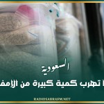 السعودية.. إحباط تهرب كمية كبيرة من الإمفيتامين