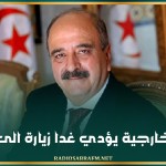 وزير الخارجية يؤدي غدا زيارة الى قطر