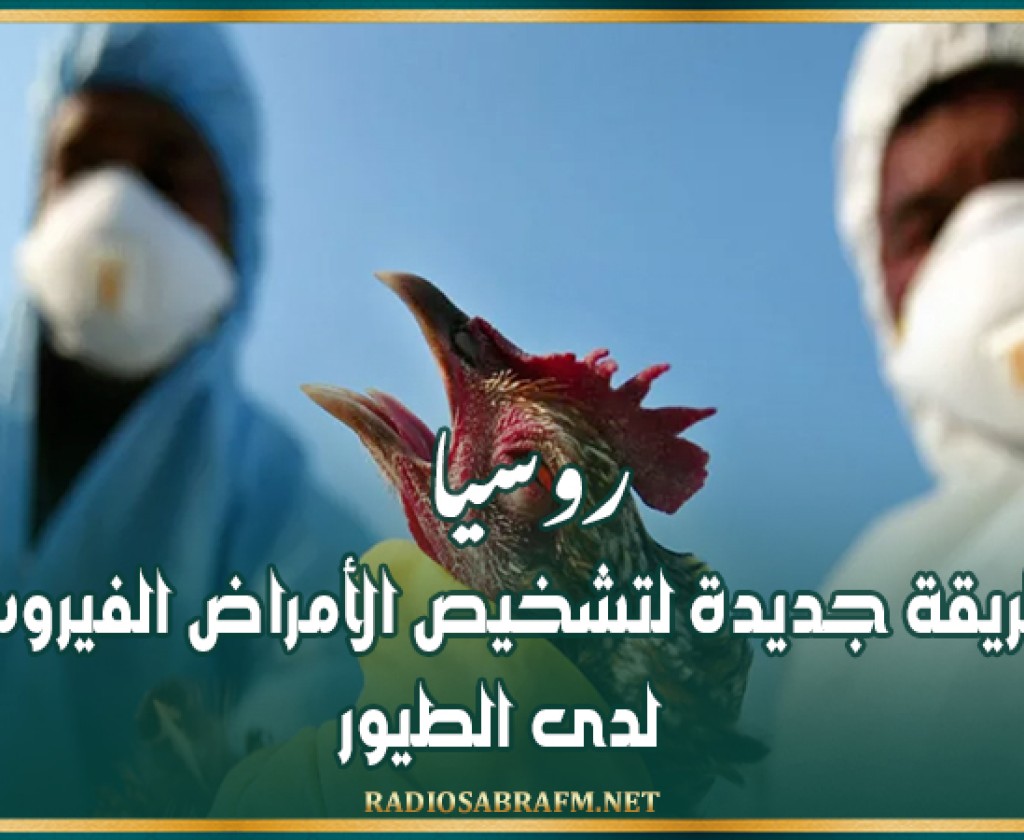 روسيا.. طريقة جديدة لتشخيص الأمراض الفيروسية لدى الطيور