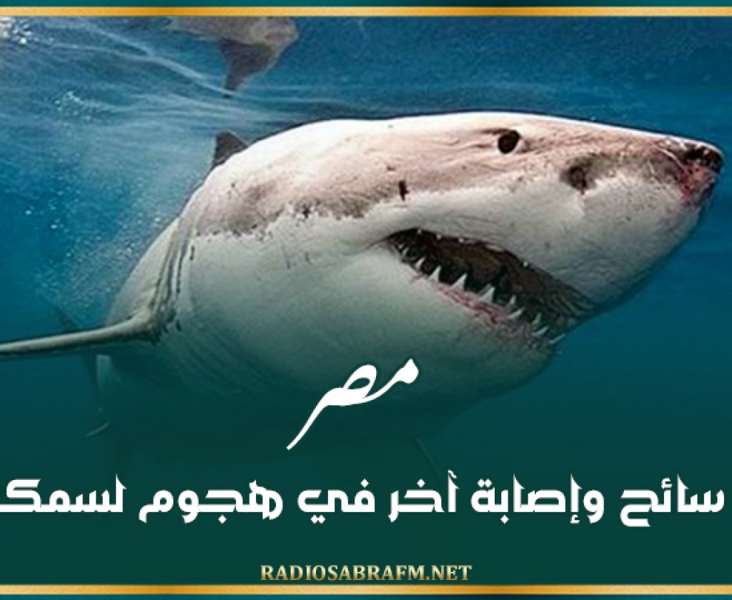 مصر: وفاة سائح وإصابة آخر في هجوم لسمكة قرش