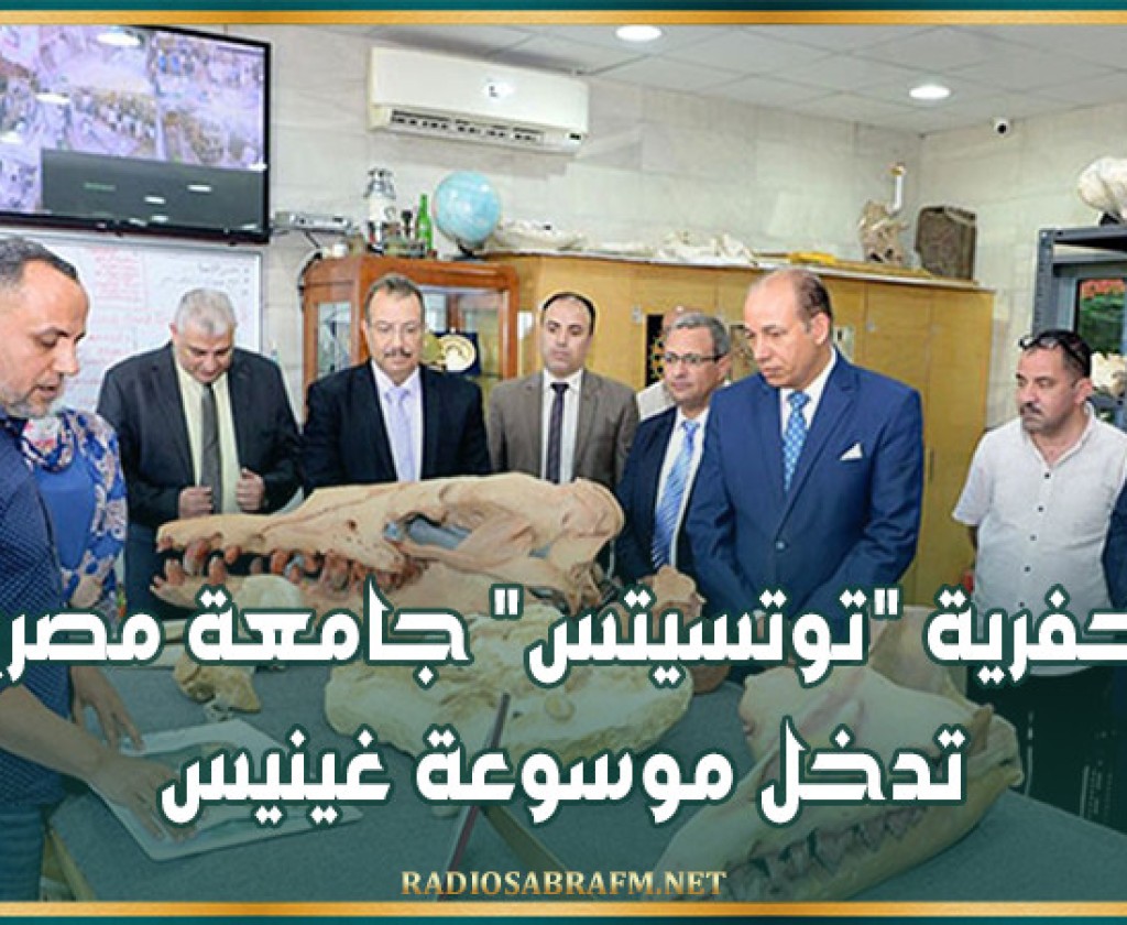 بحفرية 'توتسيتس' جامعة مصرية تدخل موسوعة غينيس