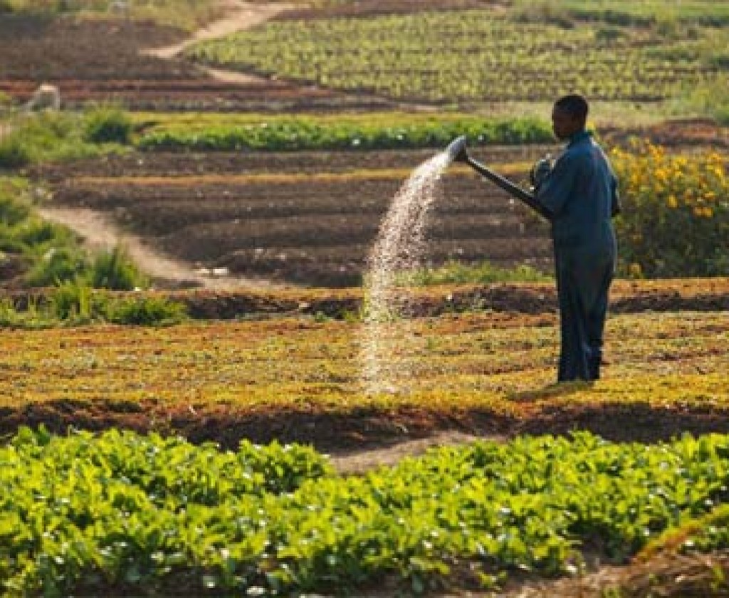 وزارة الفلاحة والسفارة الأمريكية تطلقان مشروع ''سورف'' لدعم أكثر من 9 آلاف فلاح وصياد