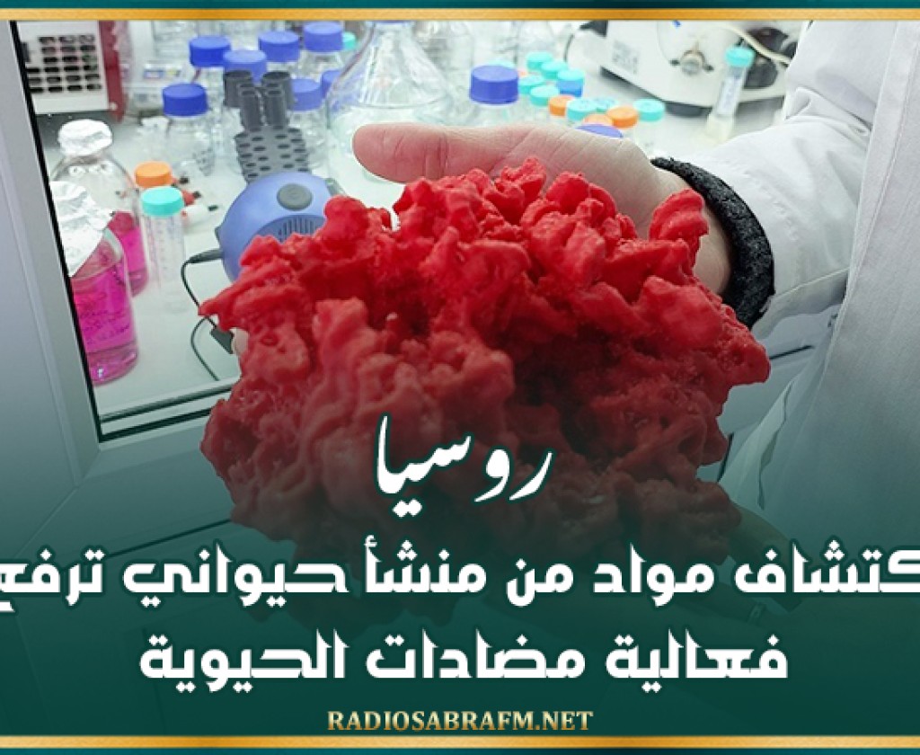 روسيا.. اكتشاف مواد من منشأ حيواني ترفع فعالية مضادات الحيوية