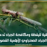 اللجنة الوطنية لليقظة ومكافحة الجراد تدعو الى ايلاء آفة الجراد الصحراوي الأهمية القصوى