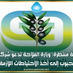 تقلبات جوية منتظرة: وزارة الفلاحة تدعو شركات تجميع الحبوب إلى أخذ الاحتياطات اللاّزمة