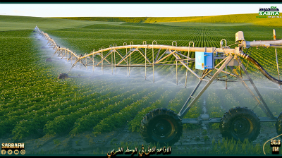 جندوبة: مزارعو الحبوب يطالبون بفتح نقاط الري حتّى يشرعوا في مداواة مستغلاتهم من الحبوب