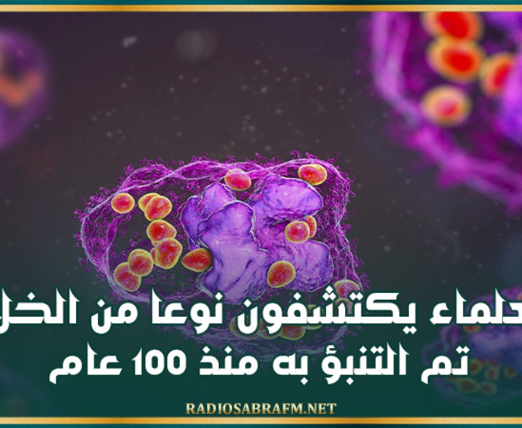 العلماء يكتشفون نوعا من الخلايا تم التنبؤ به منذ 100 عام