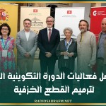 تواصل فعاليات الدورة التكوينية الثانية لترميم القطع الخزفية