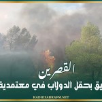 القصرين: نشوب حريق بحقل الدولاب في معتمدية سبيطلة