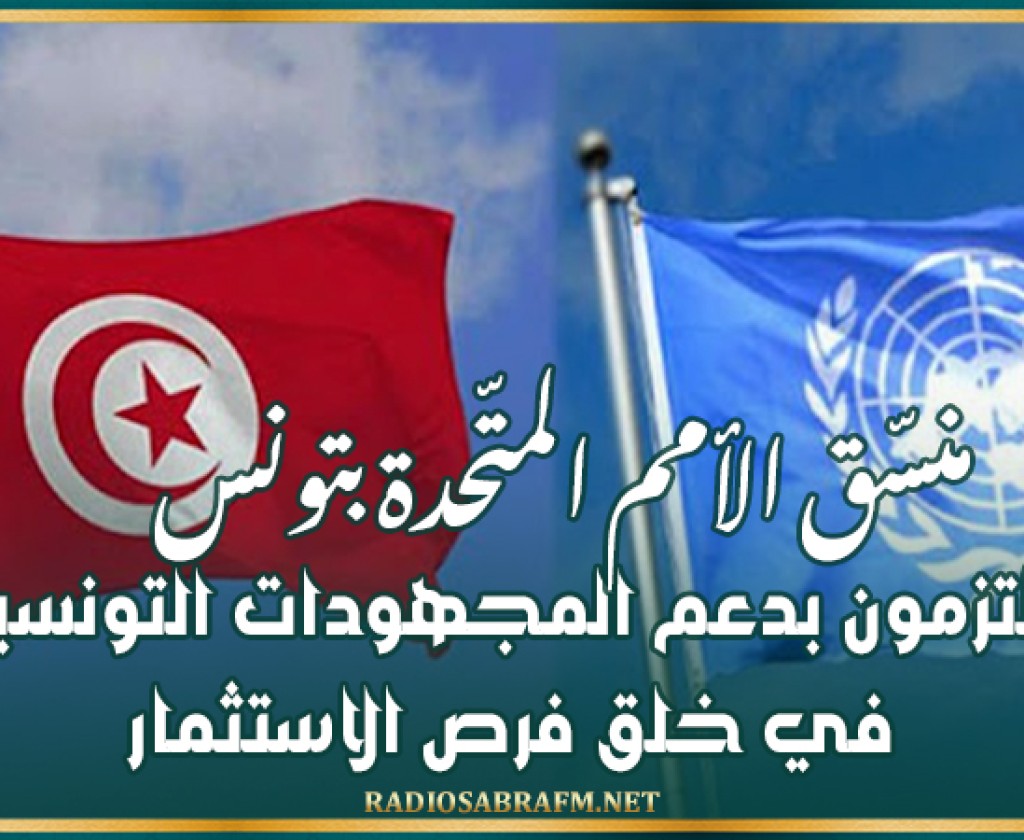 منسّق الأمم المتّحدة بتونس: ملتزمون بدعم المجهودات التونسية في خلق فرص الاستثمار