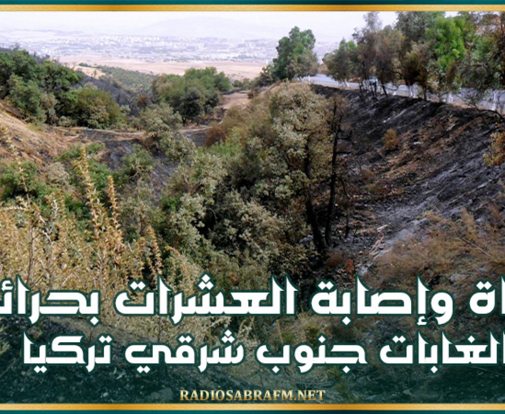 وفاة وإصابة العشرات بحرائق الغابات جنوب شرقي تركيا