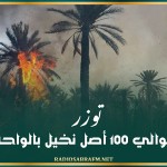 توزر: احتراق حوالي 100 أصل نخيل بالواحة القديمة