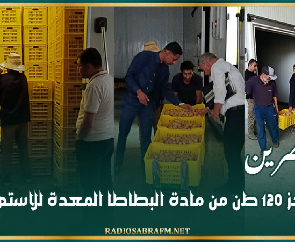 القصرين: حجز 120 طن من مادة البطاطا المعدة للاستهلاك