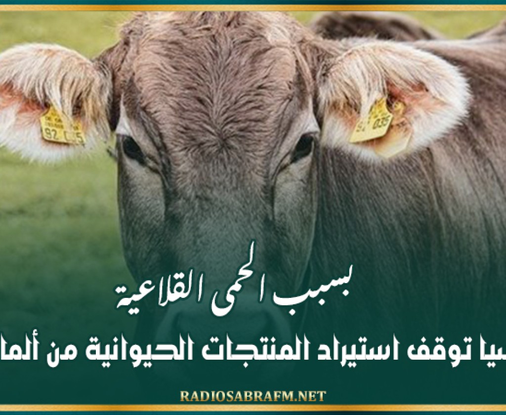 بسبب الحمى القلاعية.. روسيا توقف استيراد المنتجات الحيوانية من ألمانيا