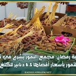 بمناسبة رمضان: مجمع التمور يشرع في ترويج التمور بأسعار أقصاها 6.5 دنانير للكلغ