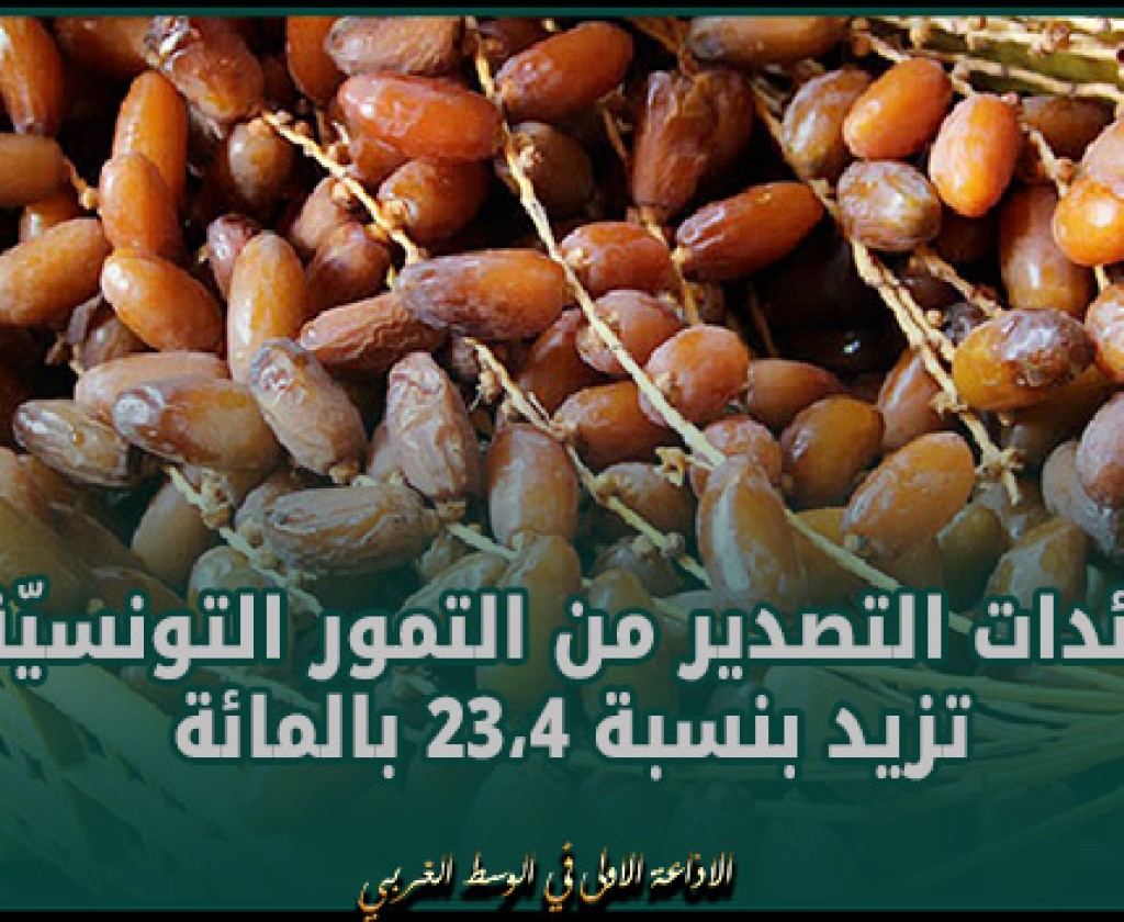 عائدات التصدير من التمور التونسيّة تزيد بنسبة 23،4 بالمائة إلى موفى جانفي 2024