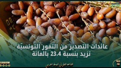عائدات التصدير من التمور التونسيّة تزيد بنسبة 23،4 بالمائة إلى موفى جانفي 2024