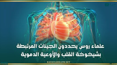 علماء روس يحددون الجينات المرتبطة بشيخوخة القلب والأوعية الدموية