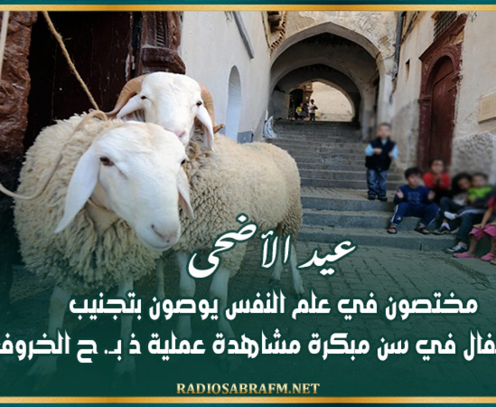 عيد الأضحى: مختصون في علم النفس يوصون بتجنيب الأطفال في سن مبكرة مشاهدة عملية ذبح الخروف