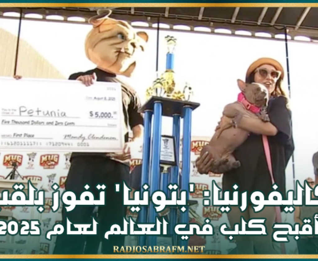 كاليفورنيا: 'بتونيا' تفوز بلقب أقبح كلب في العالم لعام 2025