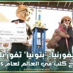 كاليفورنيا: 'بتونيا' تفوز بلقب أقبح كلب في العالم لعام 2025